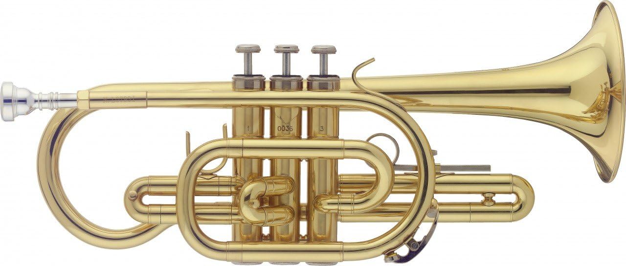 Stagg WS-CR215 Bb Cornet with Case