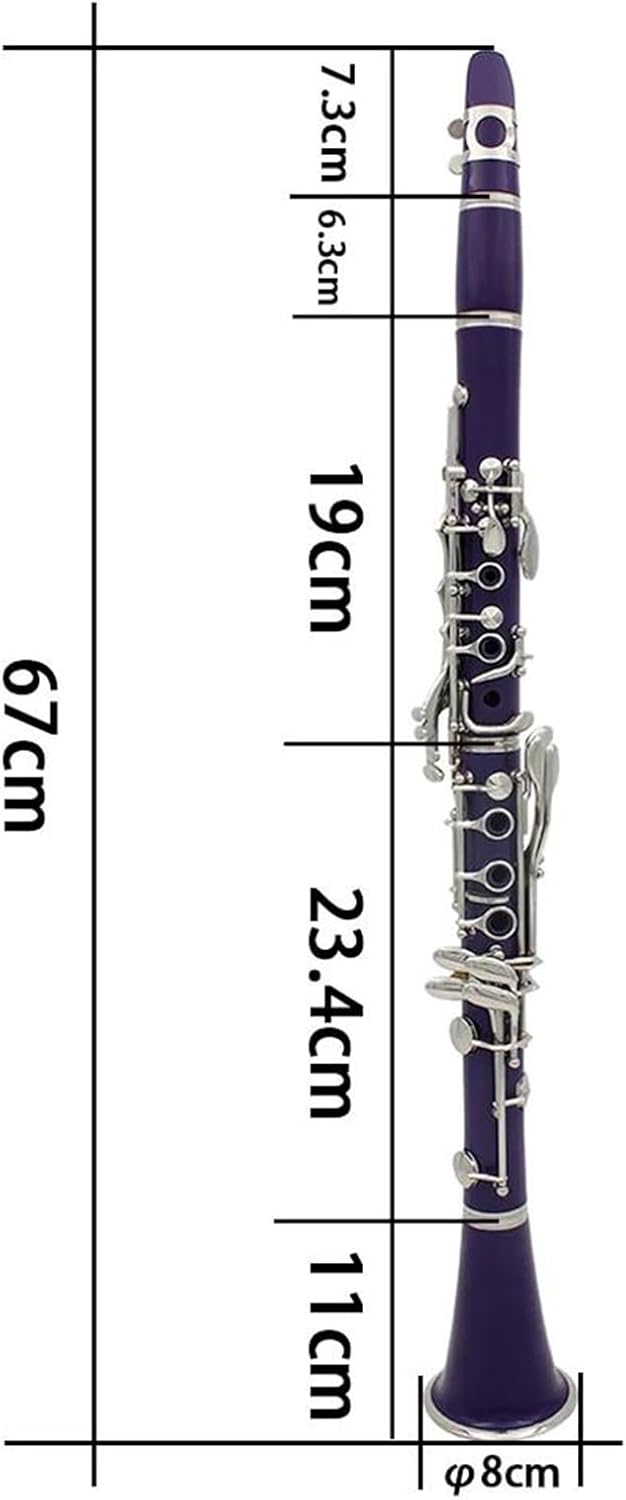 Clarinet Musical Instruments Bb Professional Clarinet 17 Keys 6 Ring Clarinet Portable Abs Clarinet Woodwind Instrument(Green)