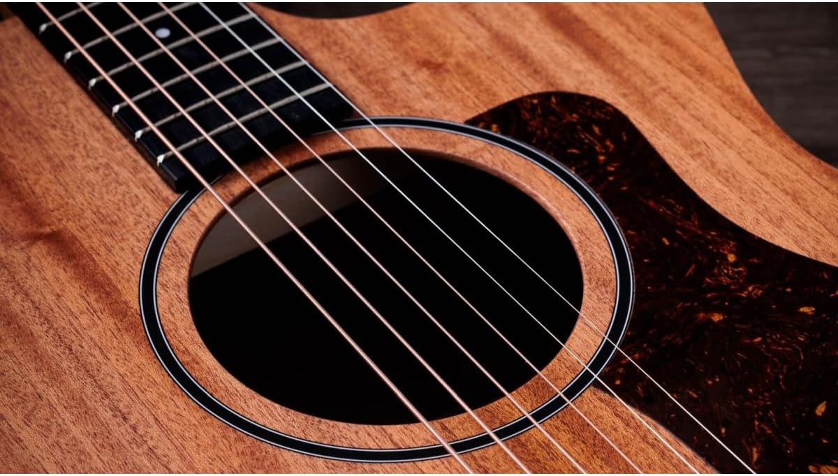 Taylor 24ce Neo-Tropical Mahogany/African Sapele Natural w/Fishman Sonitone GT-2