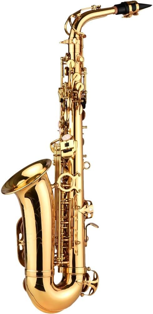 Alto Saxophone Eb Brass Lacquered Body with Carry Case, Gloves, Neck Strap and Cleaning Kit, Full Size Wind Instrument for Daily Practice, Ensemble Playing, Studio Use and Stage Performance