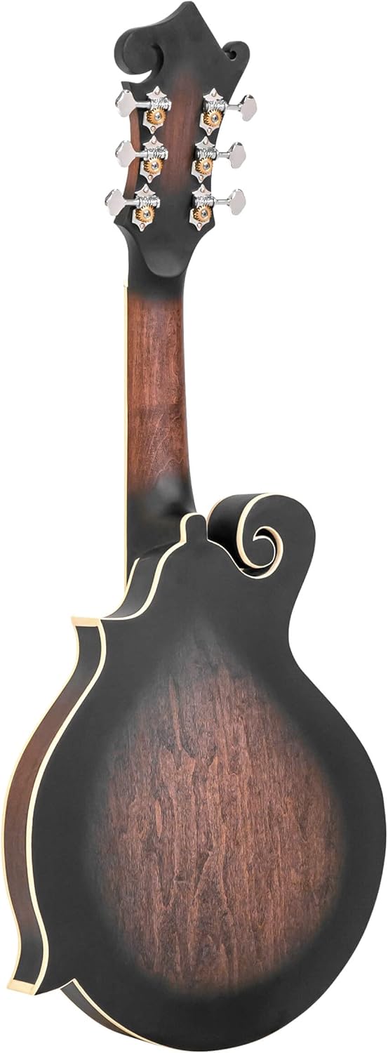 Goldtone F-6 Long Scale Manditar Cutaway Mando-Guitar w/Case