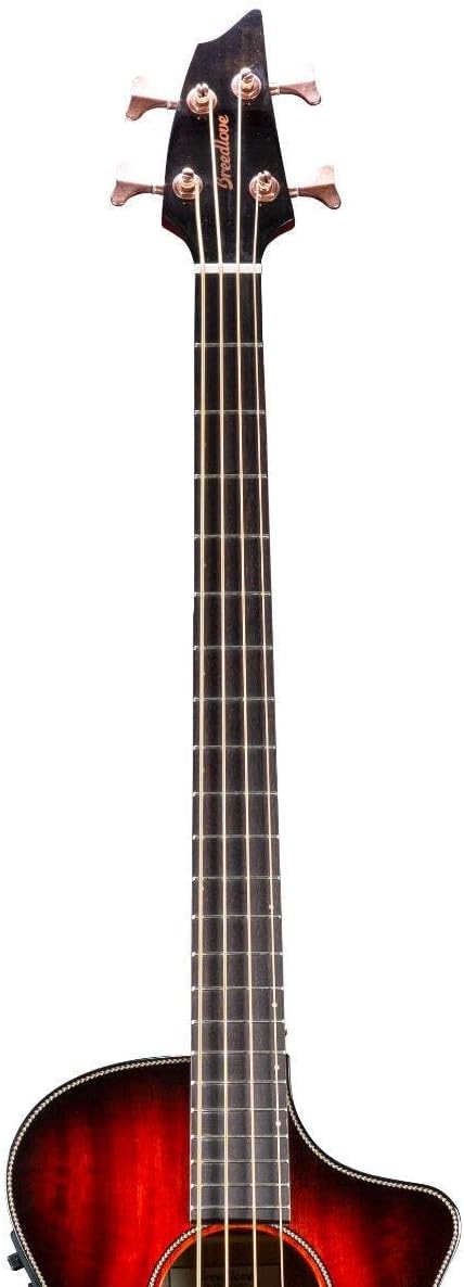 Breedlove ECO Pursuit Exotic S Concert CE Acoustic-electric Bass Guitar - Sunset Burst Myrtlewood