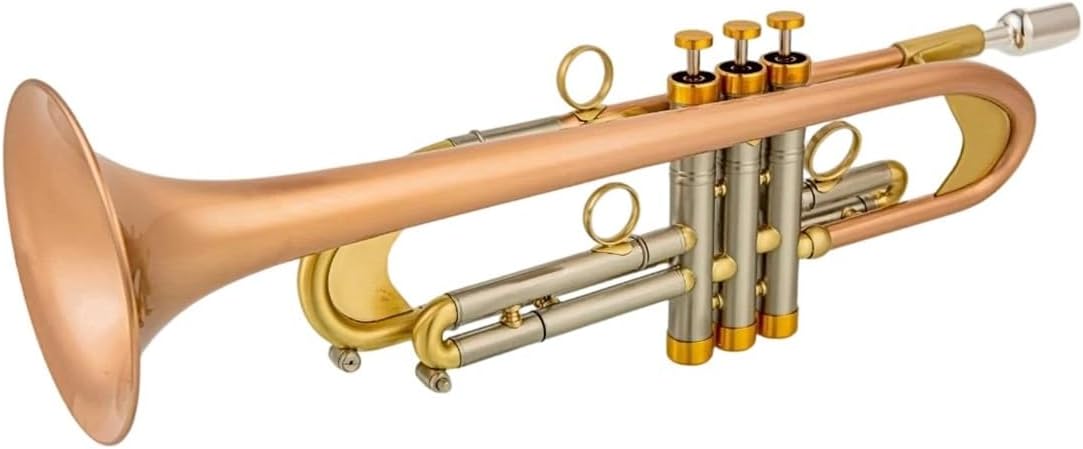 Trumpet Brass Set Bb Trumpet Phosphor Bronze Plated Professional Brass Instrument With Hard Case