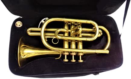 Cornet Finish B Flat Great Look & Sound With Case Mp Gold shry050