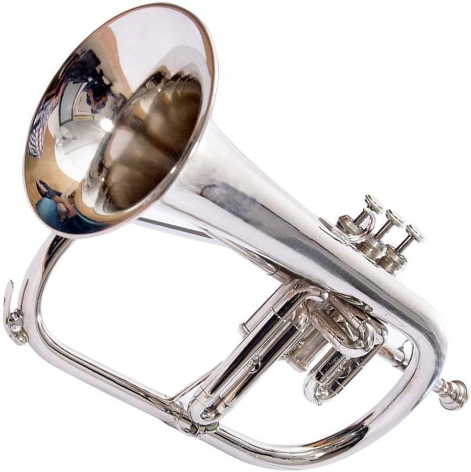 Flugelhorn Pro Professional brass chrome plated SCX985