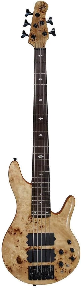 Michael Kelly Pinnacle 5 5-String Bass Guitar