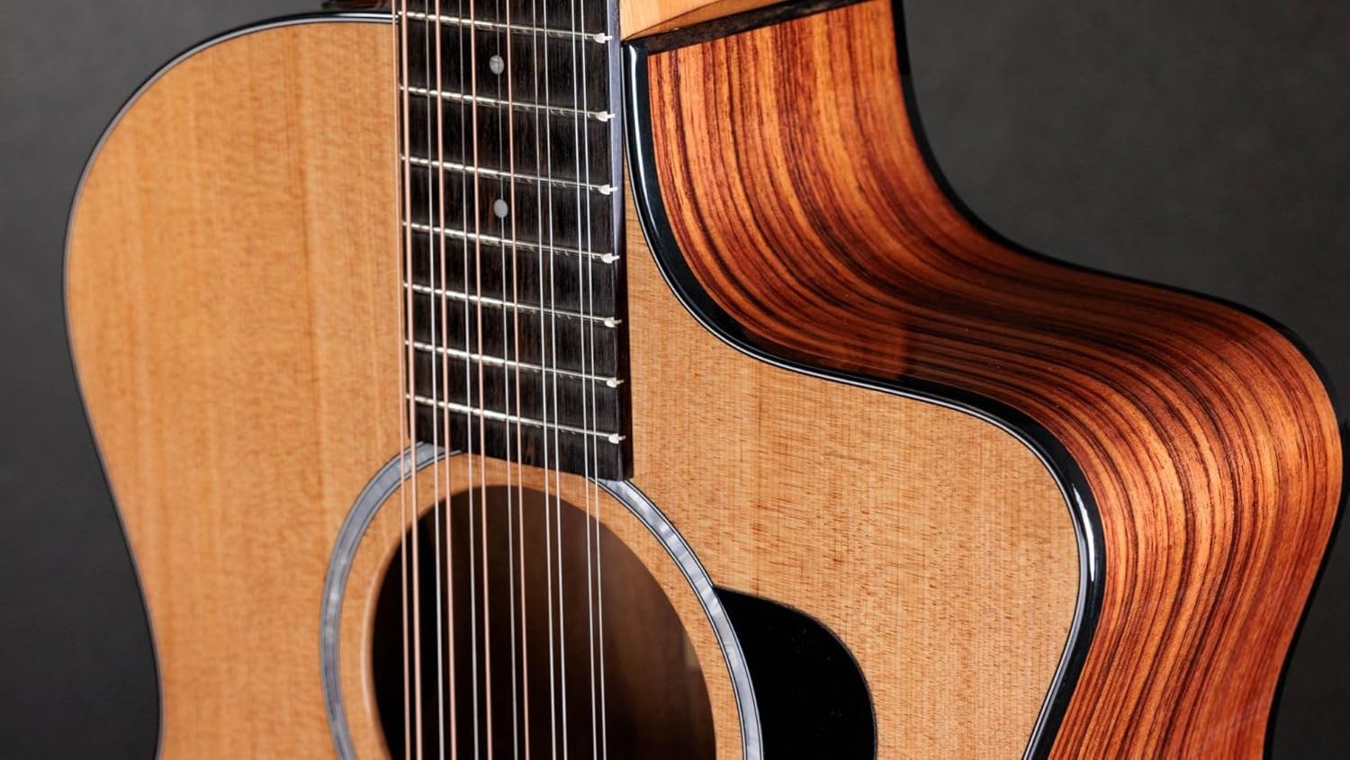 Taylor 254ce Plus 12-string Acoustic-electric Guitar