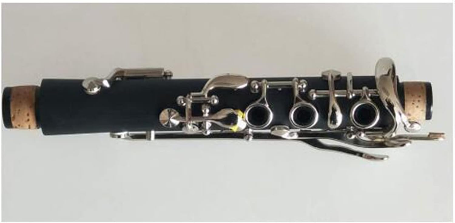 TSTS Clarinet Bb Ebonite 19 Keys Good Sound Nickel-Plated Clarinet Brass Instruments Woodwind Clarinet for Beginner