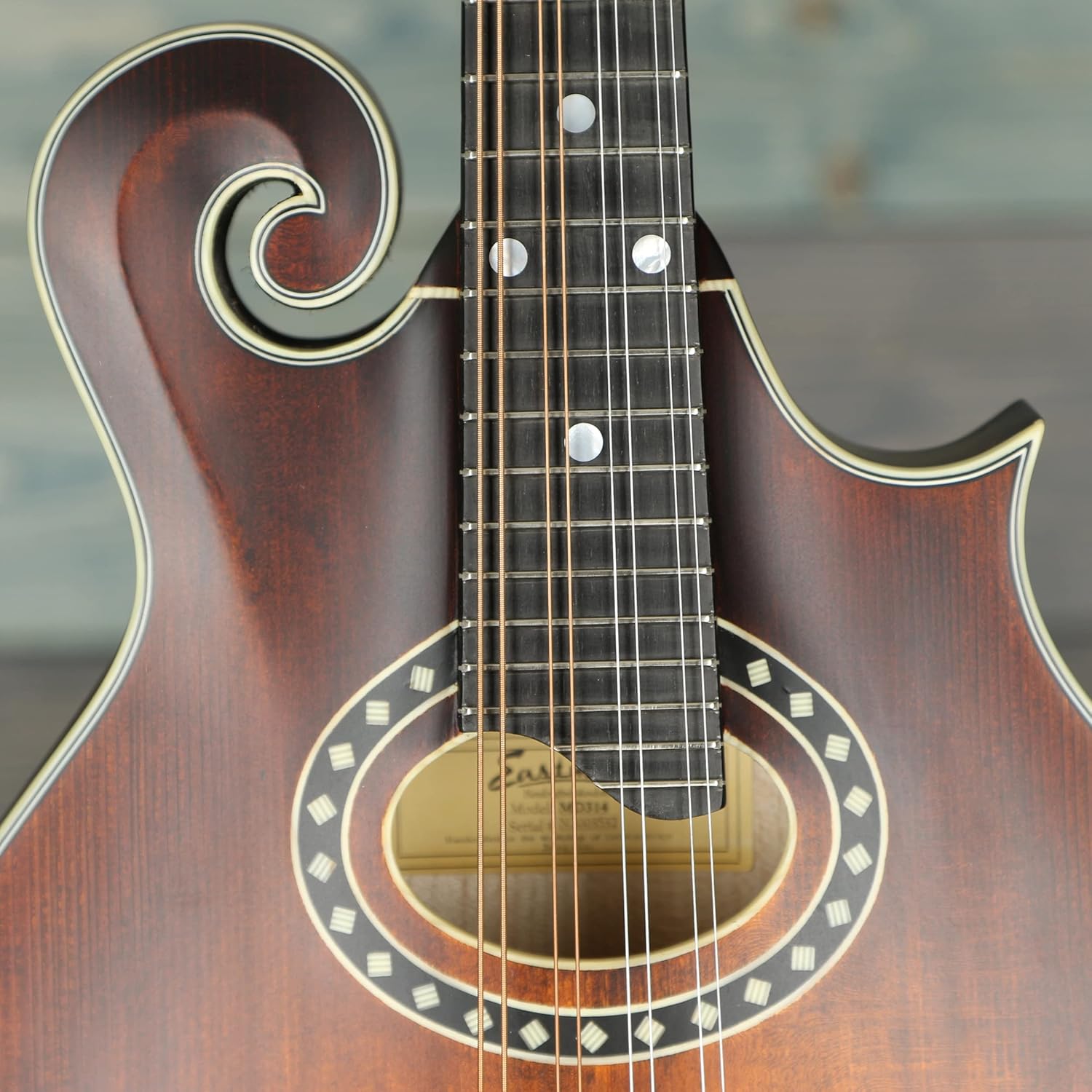 eastman Eastman MD314 FStyle Mandolin with Oval hole. Padded Bag Included