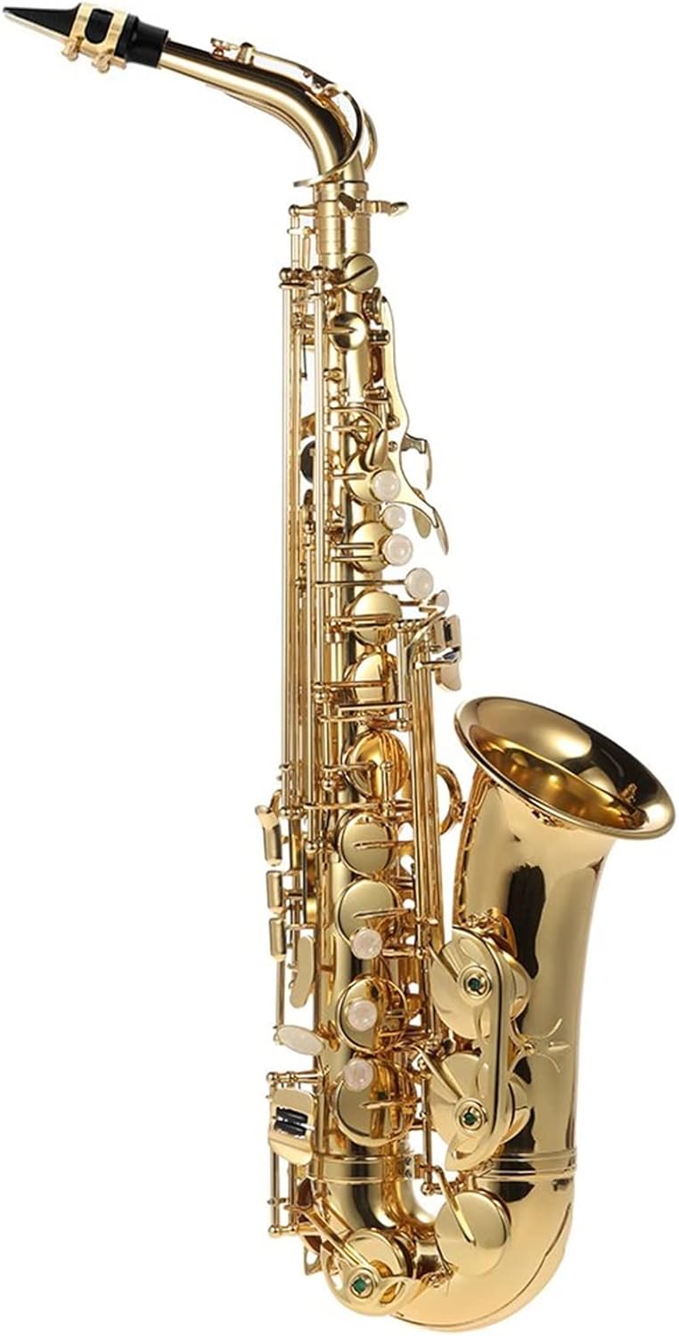 EB Alto Saxophone Brass Lacquered Gold E Flat Sax 802 Key Type Woodwind Instrument with Case