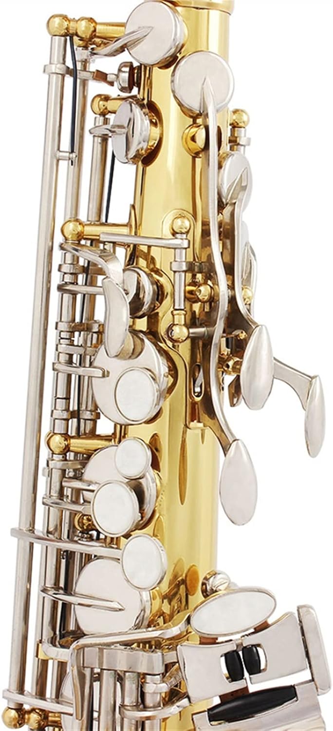 TSTS Alto Saxophone EB Tune Gold Lacquer Silver Key Brass Body Woodwind Instrument Brass Sax Full Kit
