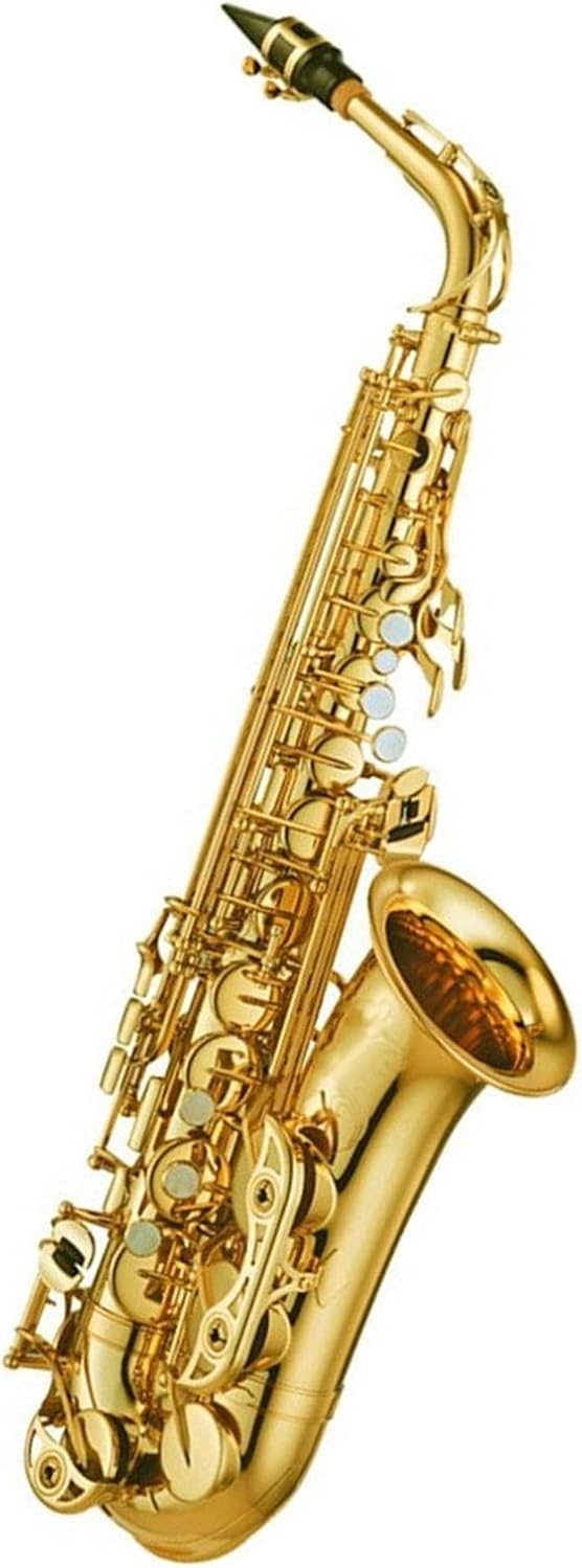 Professional Alto Drop E Saxophone Alto Sax Woodwind Instrument with Band Mouthpiece Reed