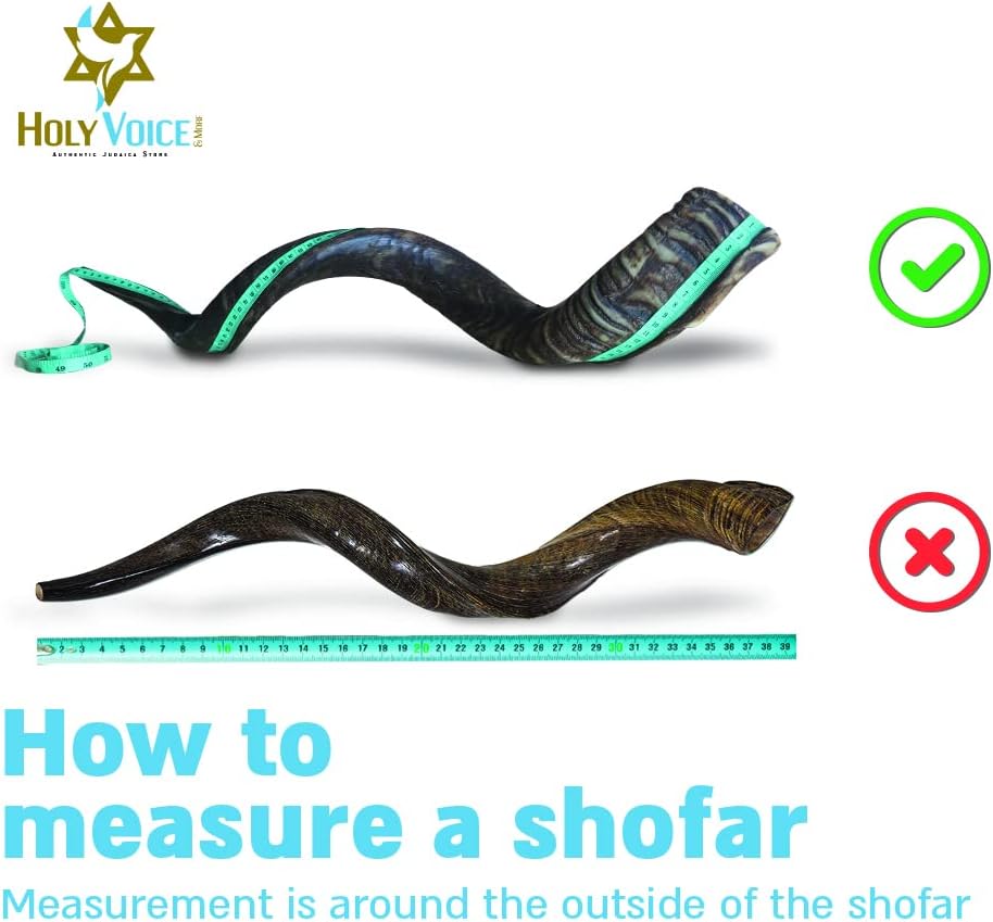 Holy Voice Kosher Kudu Shofar Horn from Israel – Traditional Half-Polished Yemenite Shofar Includes Carrying Bag, Brush and Blowing Guide - Easy Blowing Ancient Musical Instrument (36