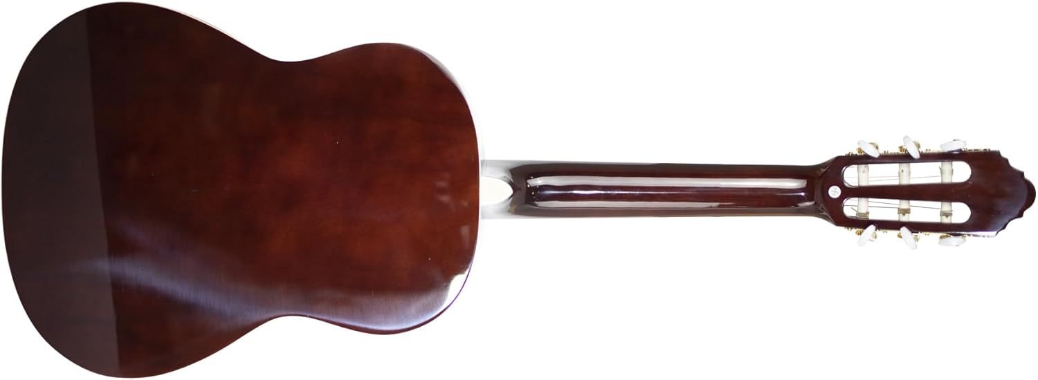 Peavey Delta Woods™ CNS 3/4 Classical Nylon String Guitar