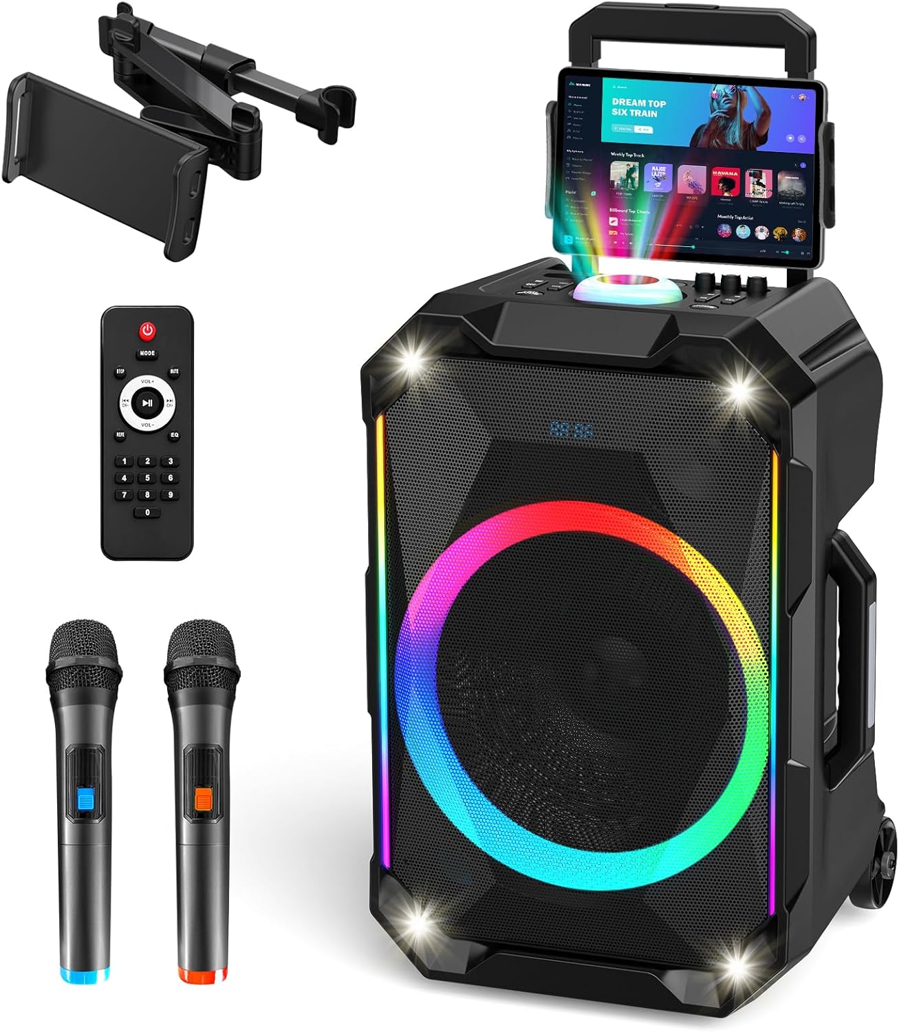 Portable Karaoke Machine for Adults, 12