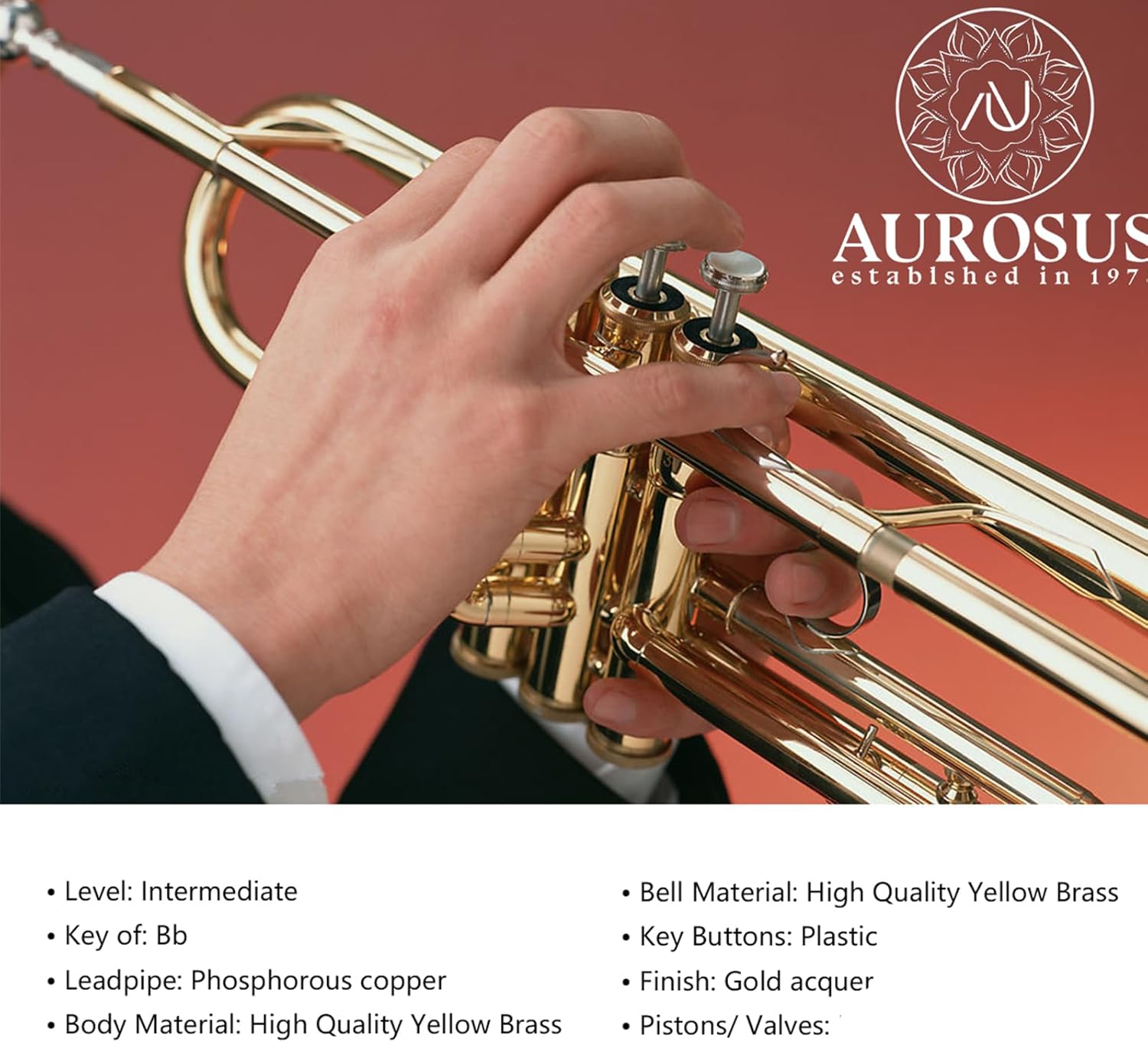 bb trumpet 6331 brass b flat trumpet for beginners and intermediate players copper leadpipe gold lacquer finish stainless steel valves phosphorus hard case and accessories included