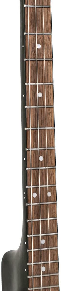 Gold Tone AC-4IT Composite Irish Tenor Banjo