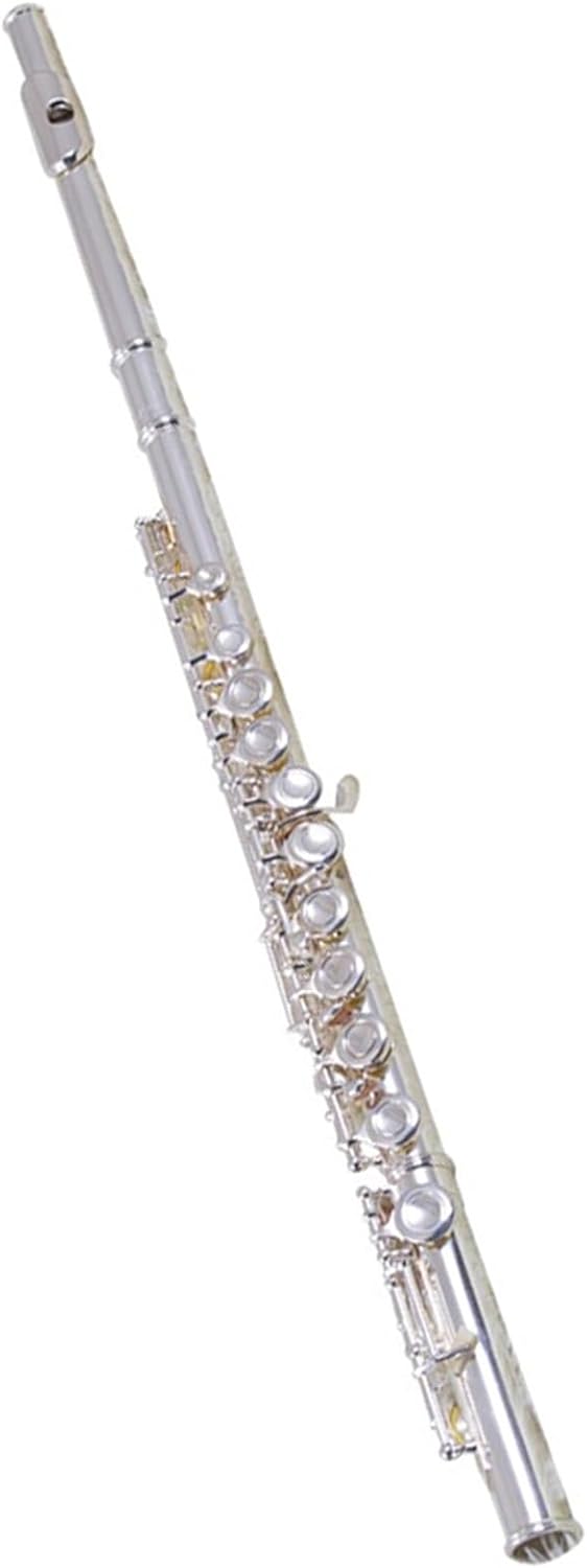 Flute Flute Instrument in C Key 16-Hole Closed-Hole Key Flute with E Key Tuned Woodwind Instrument Silver-Plated Flutes Musical Instruments