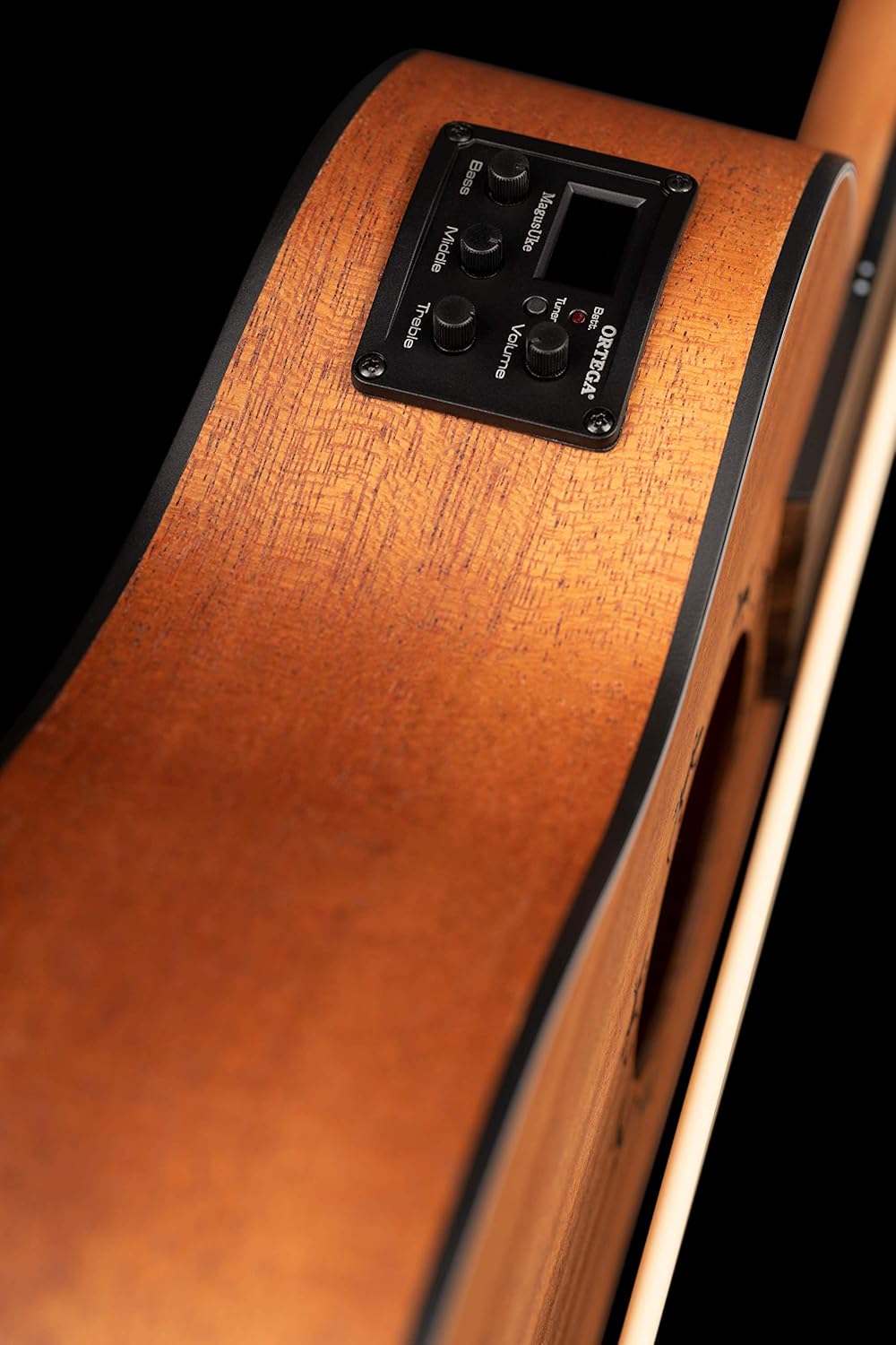 Ortega Guitars 4 String Lizard Series Fretless Acoustic-Electric Uke-Bass w/Bag, Right (LIZZY-BSFL-GB)