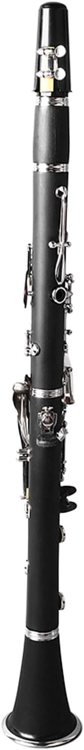 Acouto Bb Clarinet Beginners & Students Professional Clarinet with Gloves Shoulder Strap Cloth Bb Kit Band & Orchestra Musical Instruments