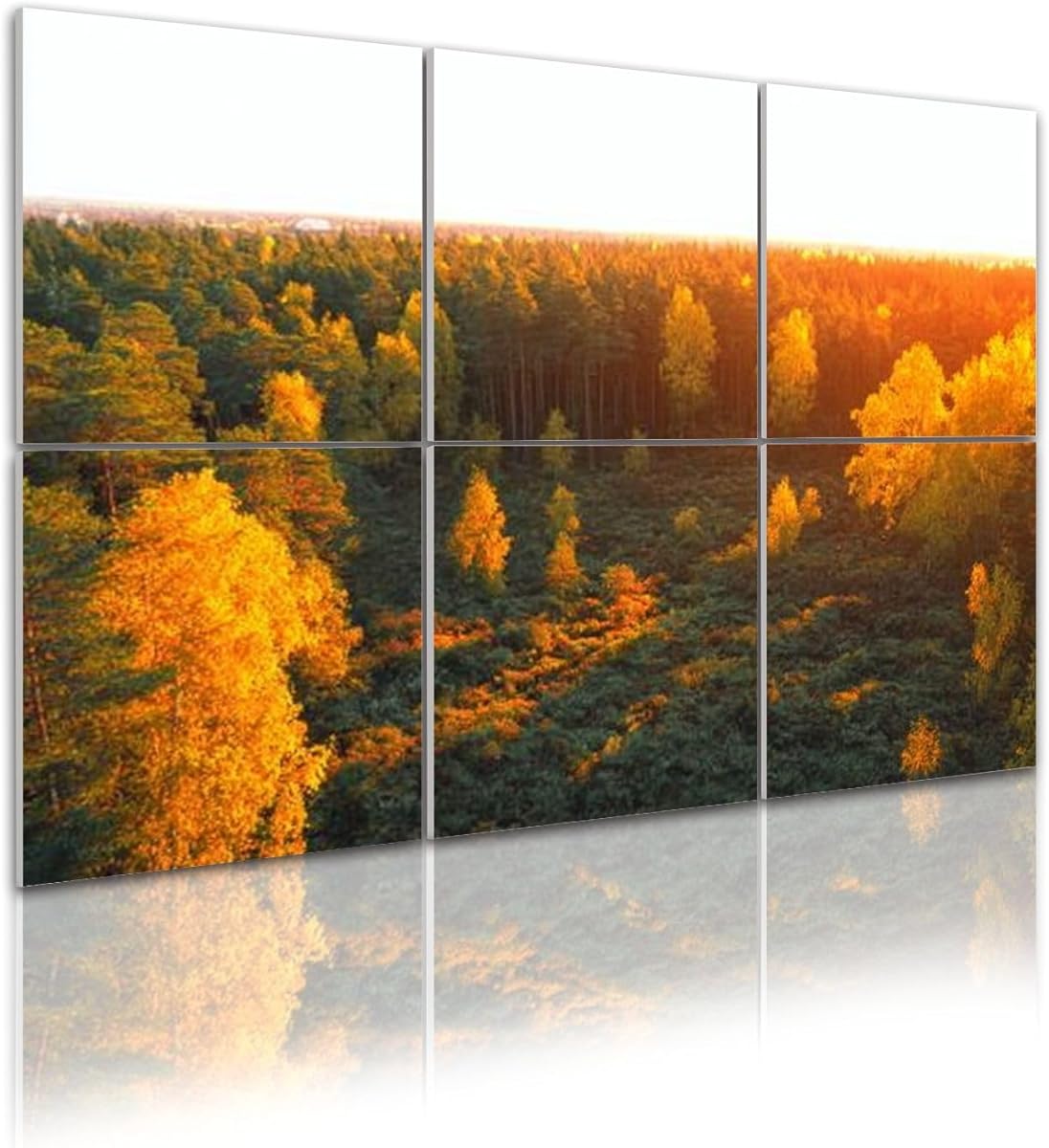 6 Pack Art Acoustic Panels Self Adhesive Autumn landscape forest backgound texture Forest golden colors autumn 48