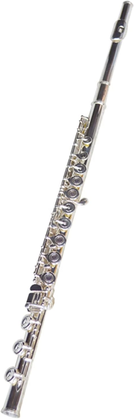 TSTS Flutes Musical Instrument 17-Hole C-Tone Silver-Plated Open-Hole in-line Flute Beginner Flute Wind Instrument