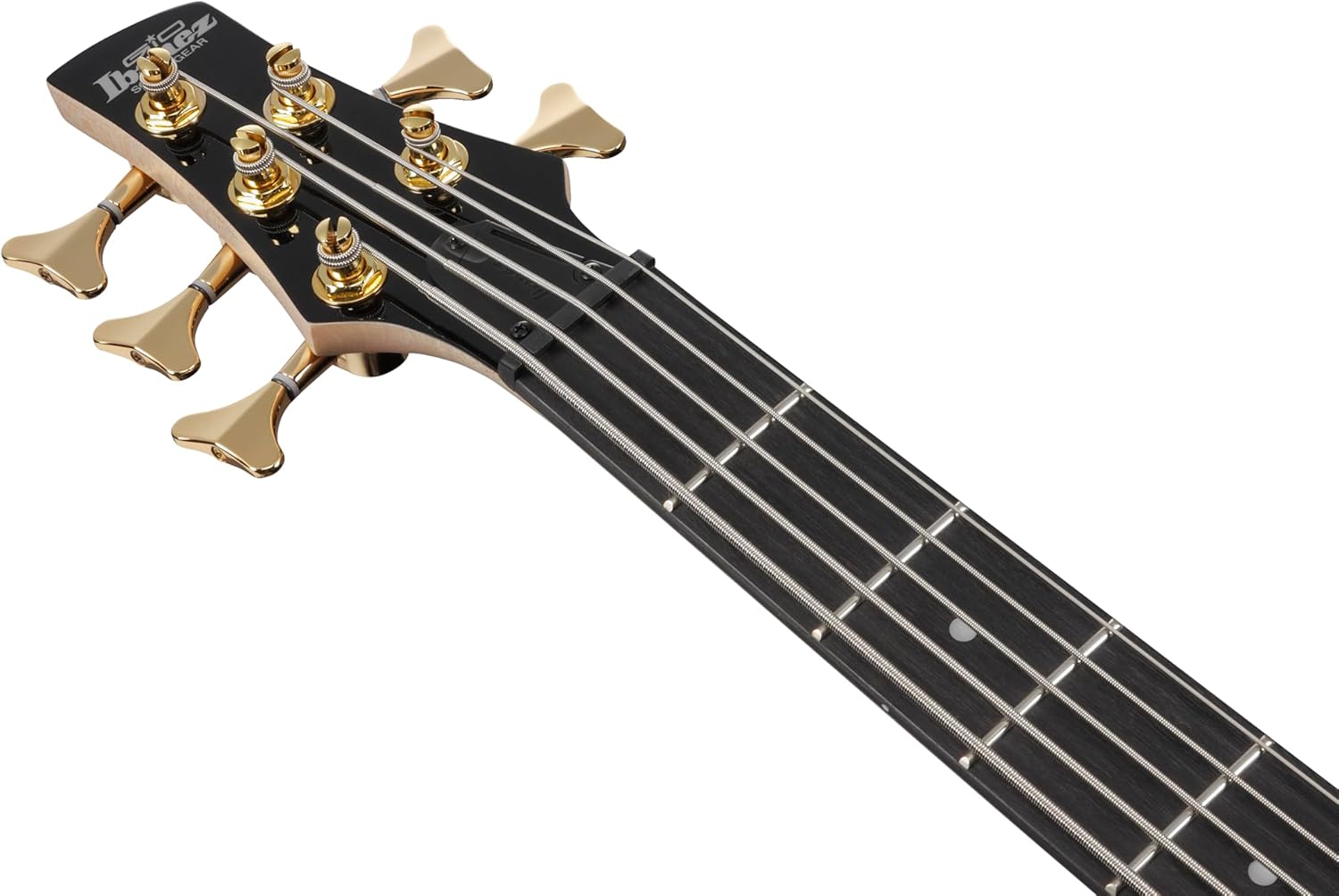 Ibanez GSR205PC GIO 5-String Bass Guitar, Purpleheart Fingerboard, Transparent Pale Black Burst
