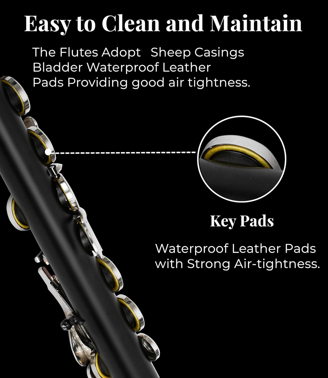 C Flute with Closed Hole 16 Keys, Suitable for Student and Beginner, Including Cleaning cloth, Carrying Case, Gloves and Tuning Rod. Nickel Plated Flute (Black)