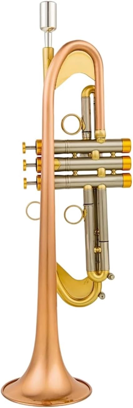 Trumpet Brass Set Bb Trumpet Phosphor Bronze Plated Professional Brass Instrument With Box