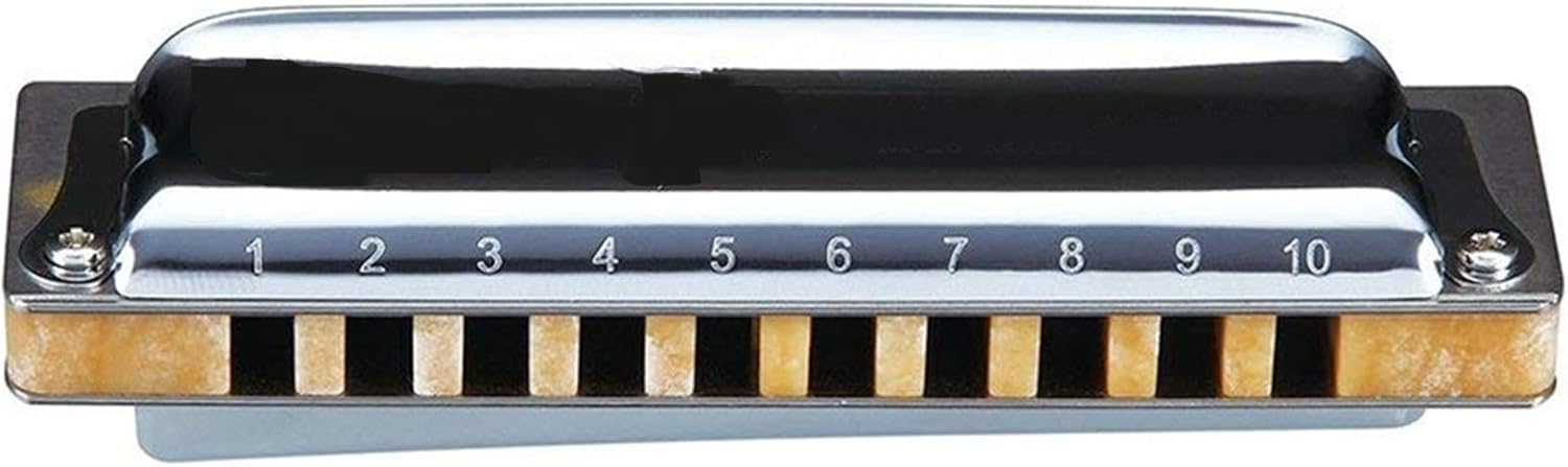 Harmonica M20 Diatonic Harmonica 10 Holes 20 Notes Blues Harp Key of C D Professional Musical Instruments (Color : Key of EB)