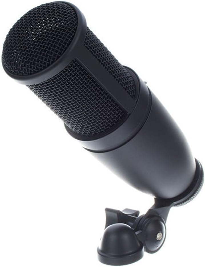 AKG Pro Audio P120 Professional 2/3-inch Diaphragm, True Condenser Studio Microphone, All Metal Design, Silver.