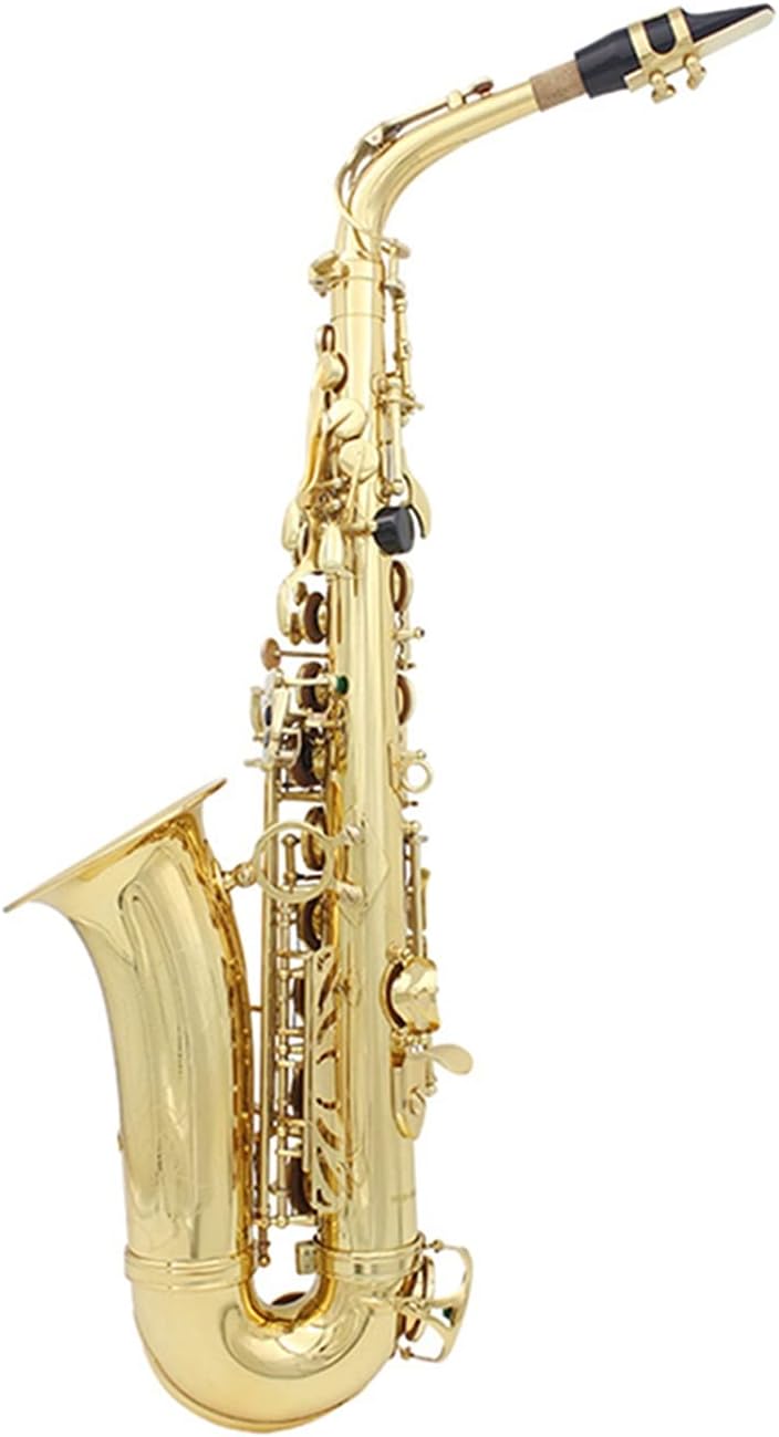 Sax Beginners Kit Brass EB Alto Saxophone Sax Lacquered Gold with Carry Case Gloves Cleaning Cloth Brush Sax Strap Mute Mouthpiece Brush Wind Instrument