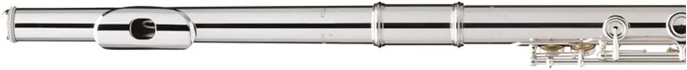 Flute Silver Plating 17 Holes C Flutes Key Woodwind Instrument Padded Flutes (Color : Silver)