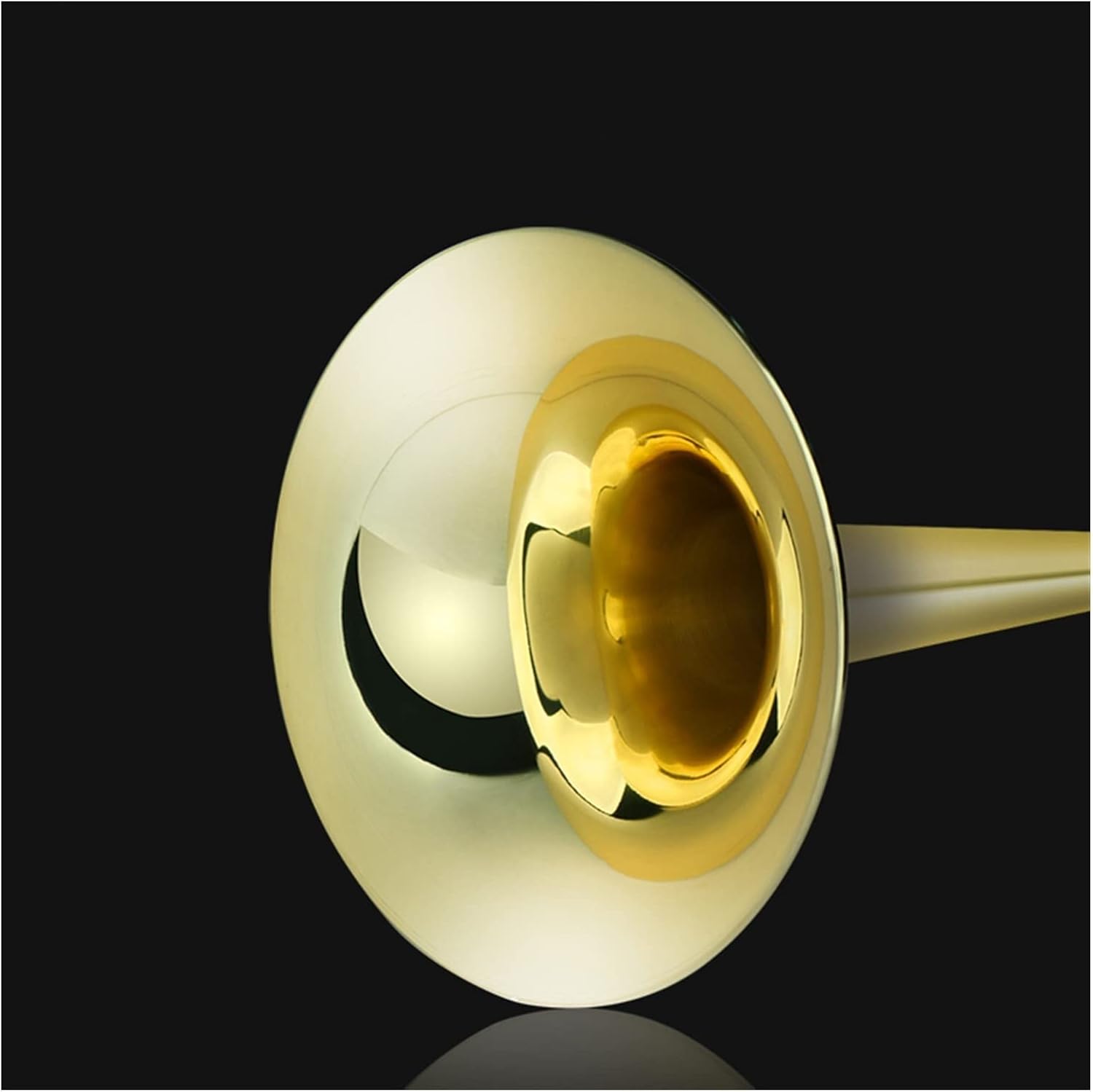 TSTS B to F Tenor Trombone Brass Instrument Beginner Trombone (Color : Alto B Flat)