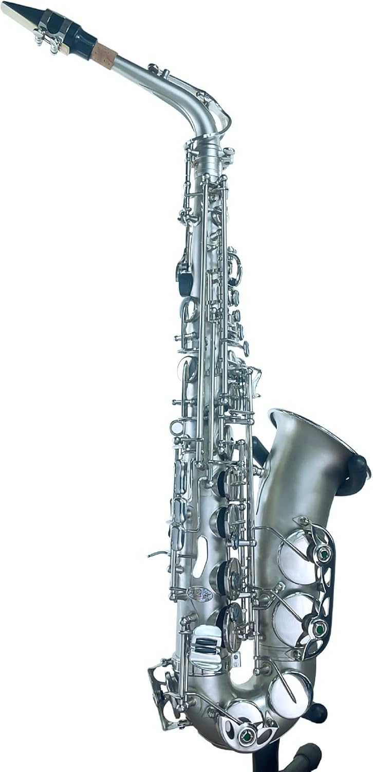 TSTS Alto Saxophone Nickel-Plated Wind Instrument Brass Sax Full Kit