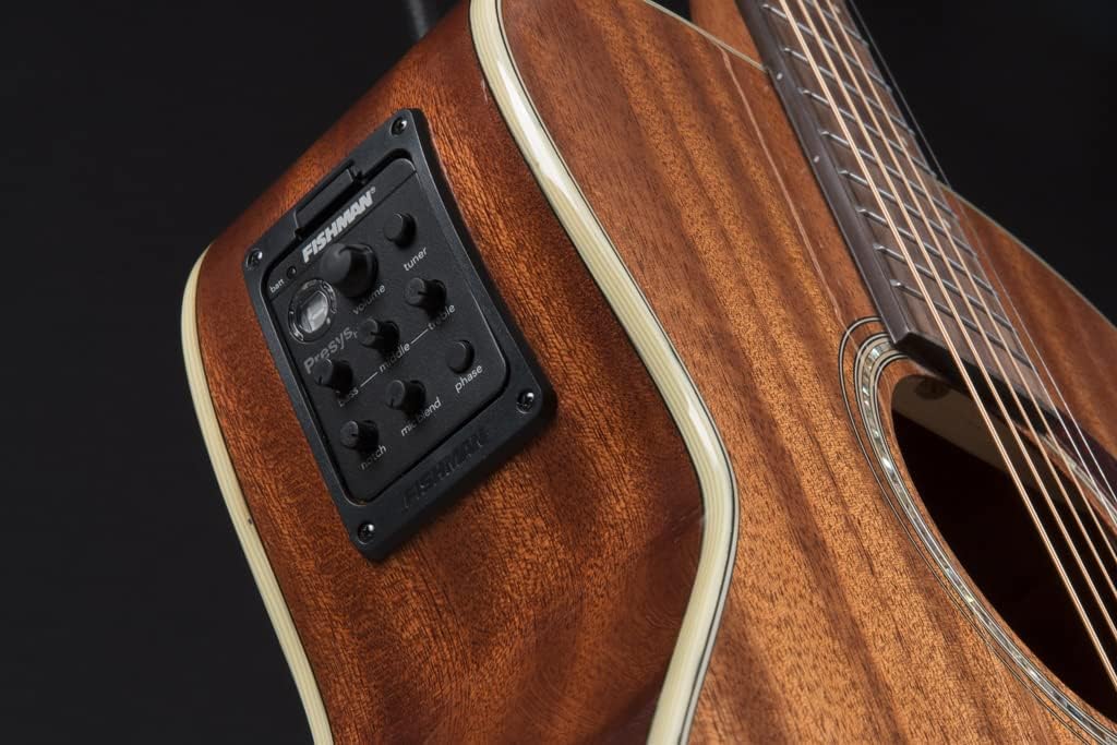 Other Heritage 6 String Acoustic-Electric Guitar, Right, Natural Gloss (HG120SWEK-D)