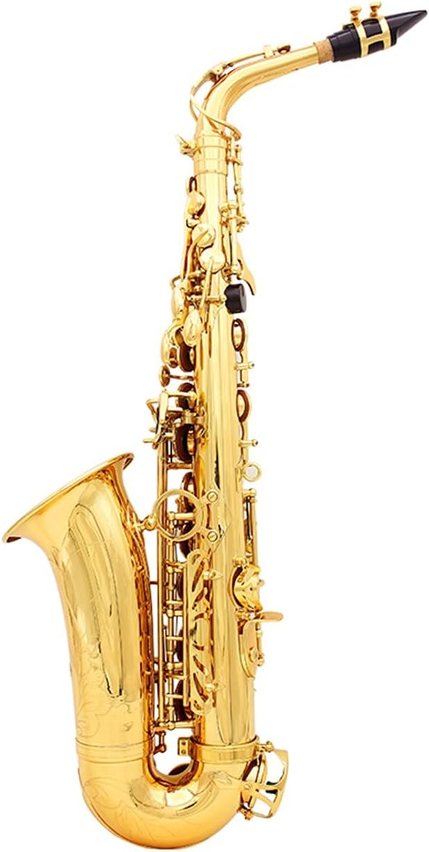 EB Be Alto E Saxophone Flat Brass Carved Pattern Plastic Mouthpiece with Gloves Cleaning Cloth Brush Straps Student Saxophone (Color : Gold)