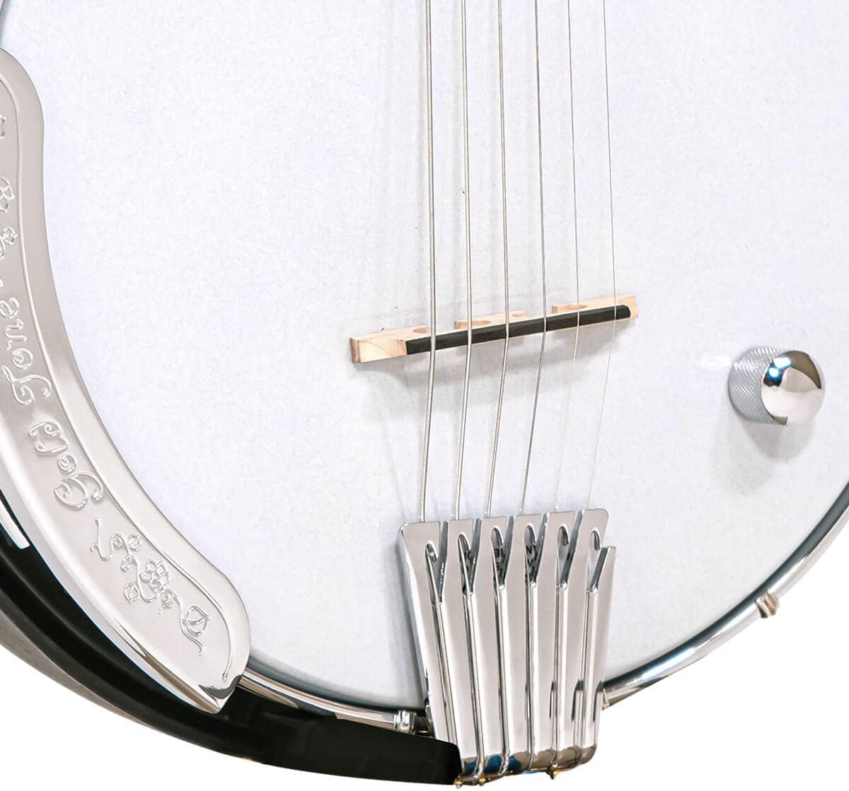 Gold Tone AC-6+: Acoustic Composite Banjitar with Pickup and Gig Bag - Guitar-Banjo