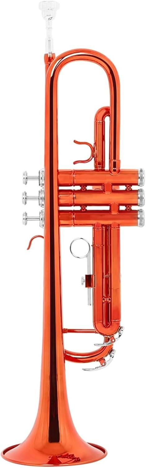 Trumpets The B Flat Trumpet Is A Suitable Instrument For Beginners To Practice On