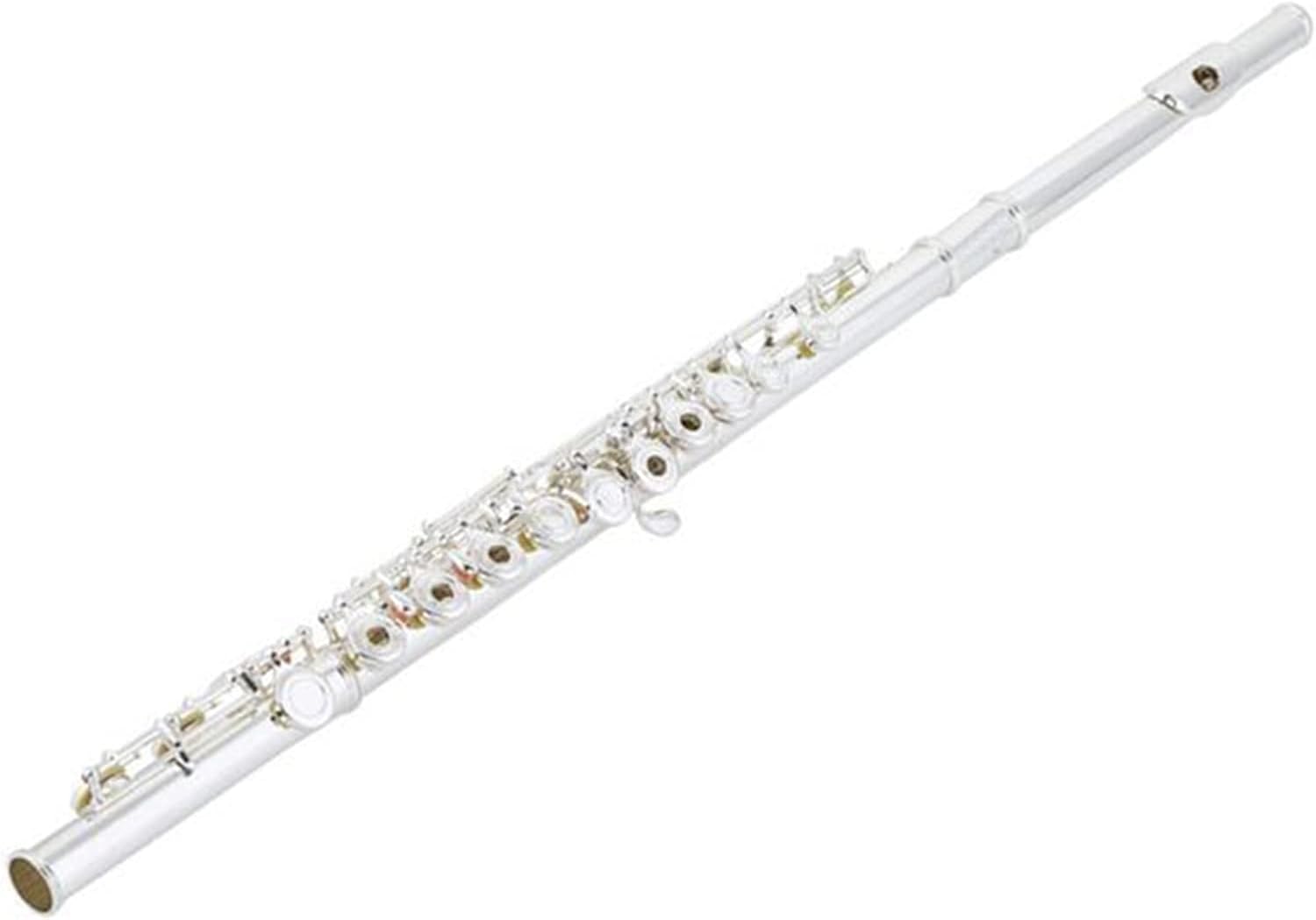 TSTS Flutes Musical Instrument 16 Key Open Holes Flute Nickel Silver-Plated Head Body and Machine Heads E-Mechanism Ring Keys Offset G Woodwind