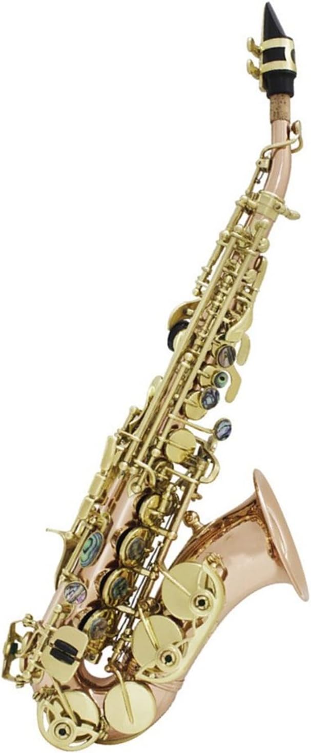 Saxophone Phosphor Bronze Copper Carve Pattern Sax Abalone Shell Buttons Wind Instrument Accessories