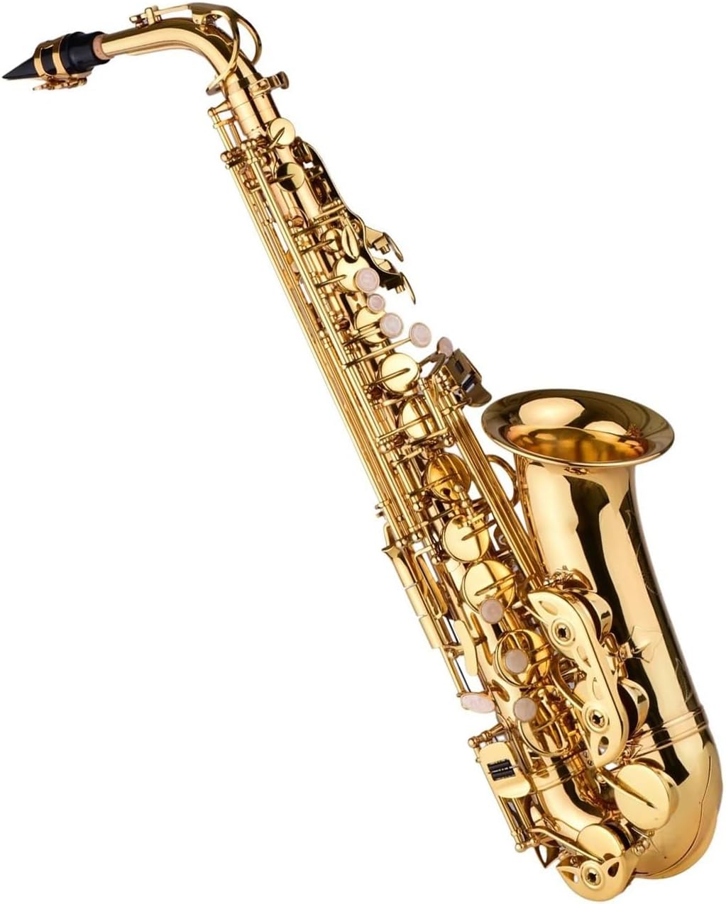 Eb Alto Saxophone Brass Lacquered Alto Sax Wind Instrument With Carry Case Gloves Straps Brush