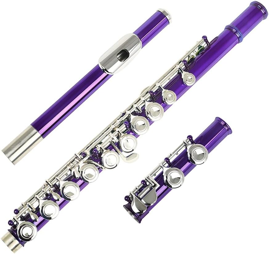 Flute Purple 16 Holes C Tone Flute with E Key Woodwind Instrument Closed Key Cupronickel Tube Flutes Musical Instruments