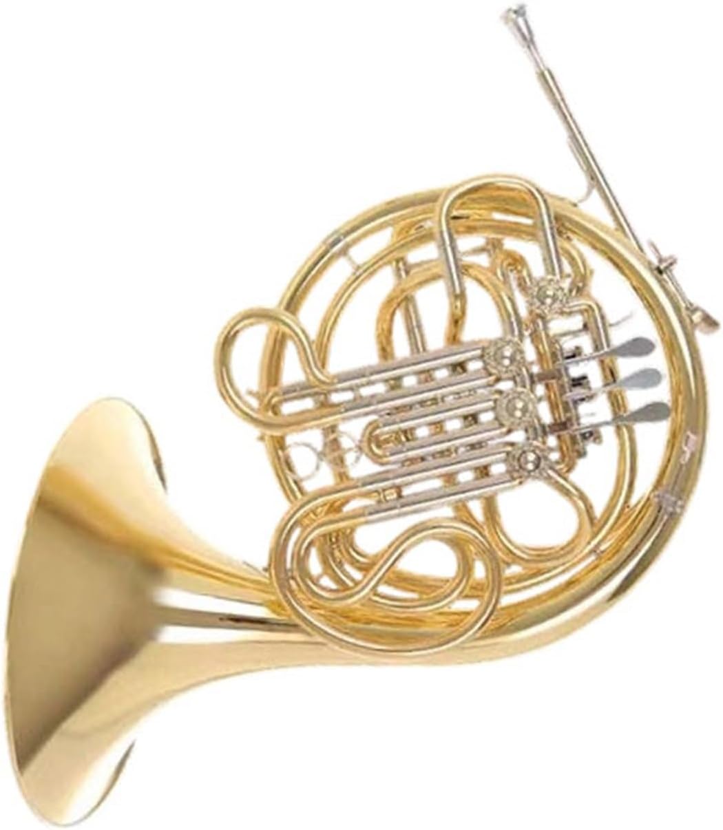 4 Key French Horn Double Row Four Key French Horn Instrument B Flat F Playing Practice(1)