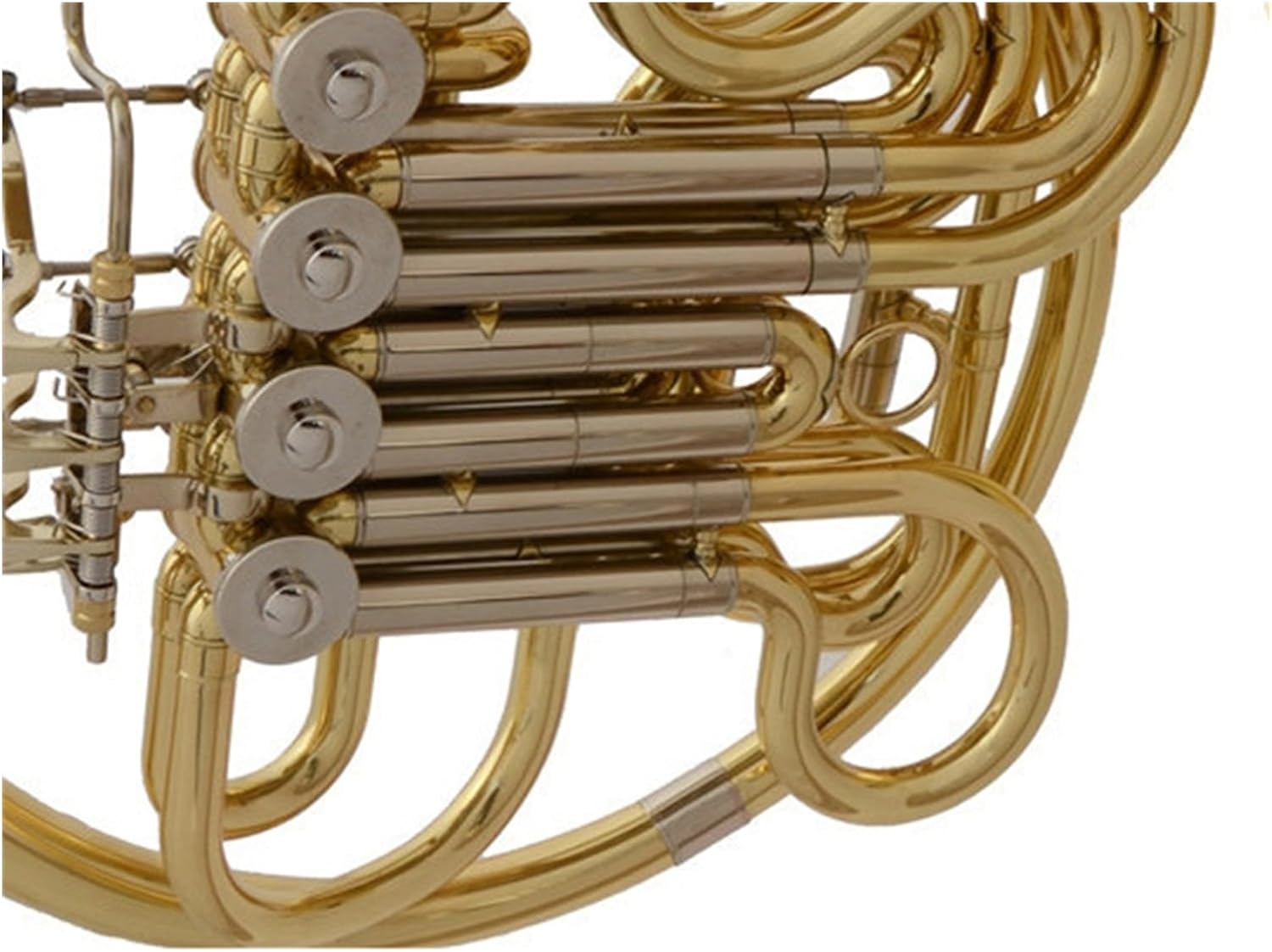 Beginner musical instrument gold lacquer double row french horn