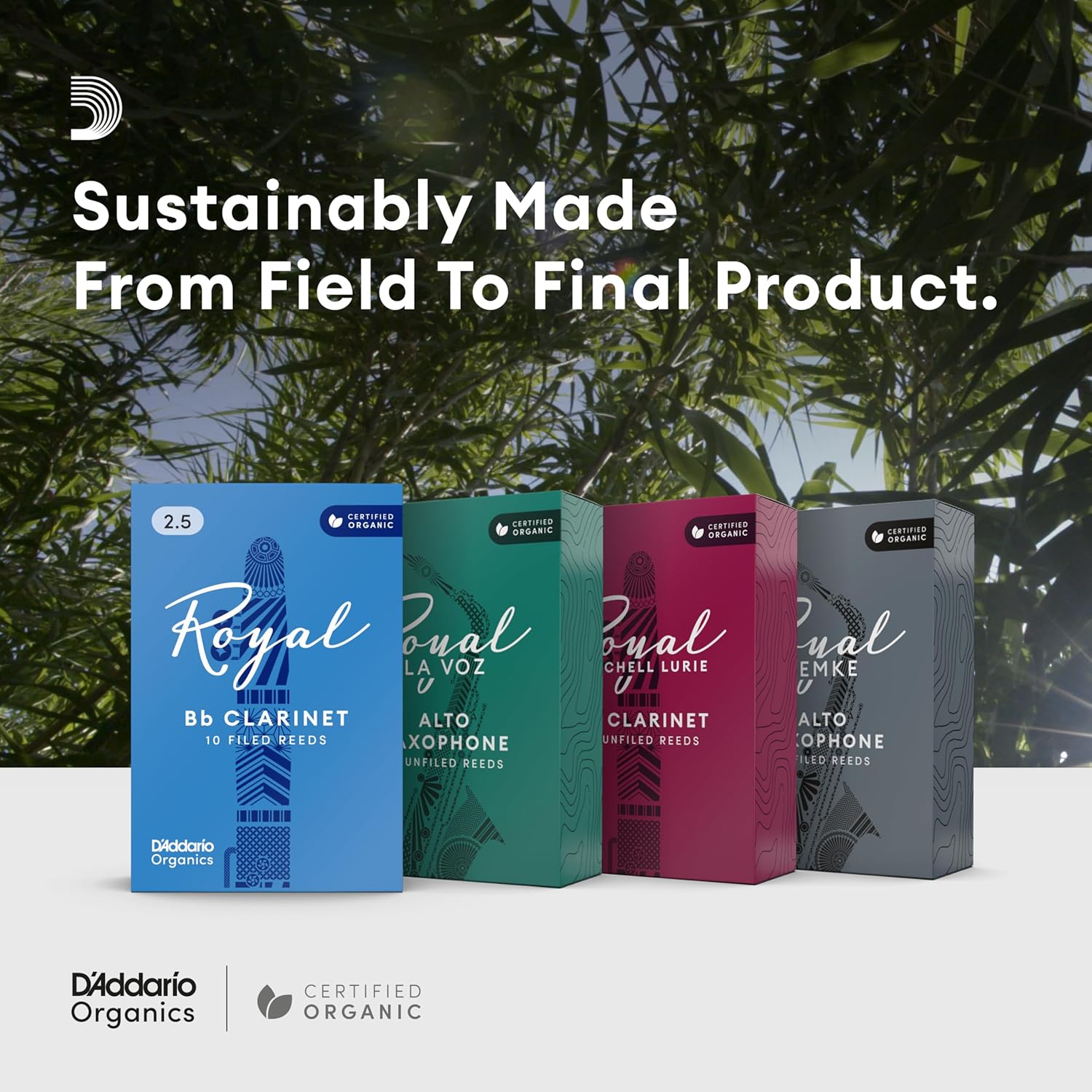 D'Addario Woodwinds Royal Saxophone Reeds - Alto Sax Reeds with Strong Spine - Alto Saxophone Reeds Great for Classical or Jazz - Strength 3.0, 25-pack