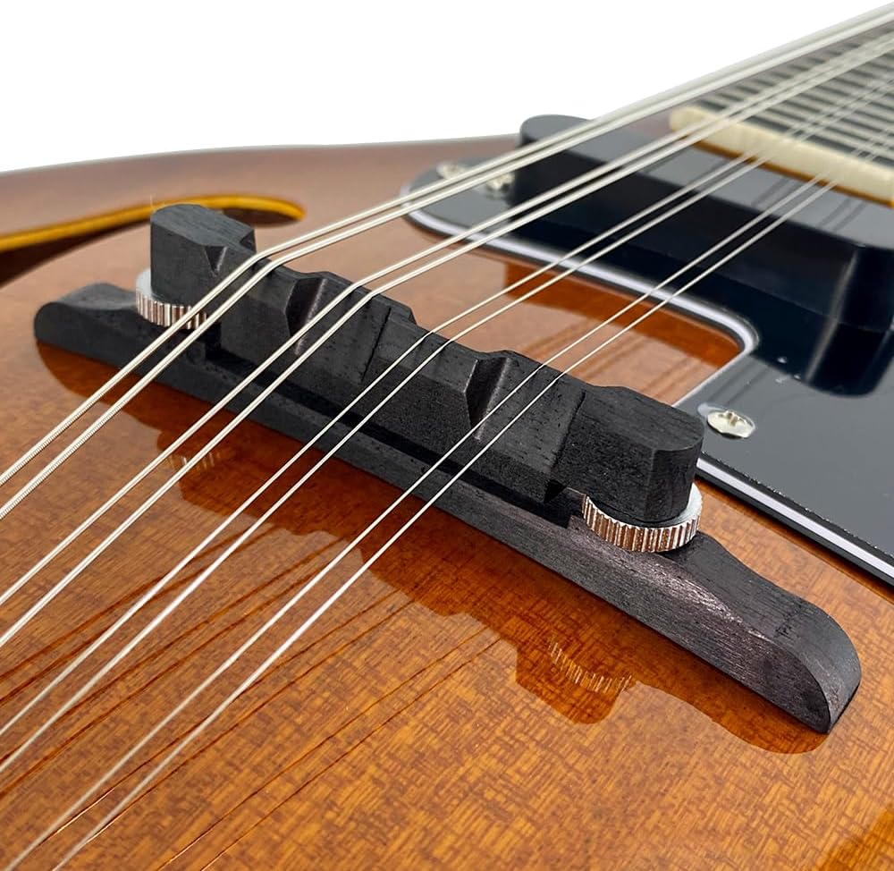 Electric Acoustic Mandolin A Style 8 String, Mahogany Body w/Built-in Pickup – Full Kit for Stage, Studio & Home (Includes Gig Bag, Audio Cable, Strap & Picks)