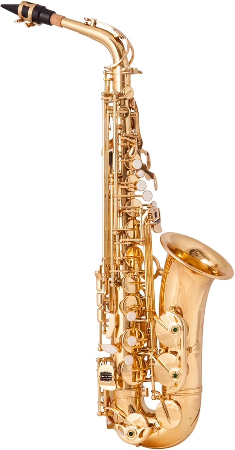 Sax Beginners Kit Antique Finish EB E- Flat Alto Saxophone Sax Shell Key Carve Pattern Woodwind Instrument with Case Gloves Straps Wind Instrument (Color : Red Bronze)