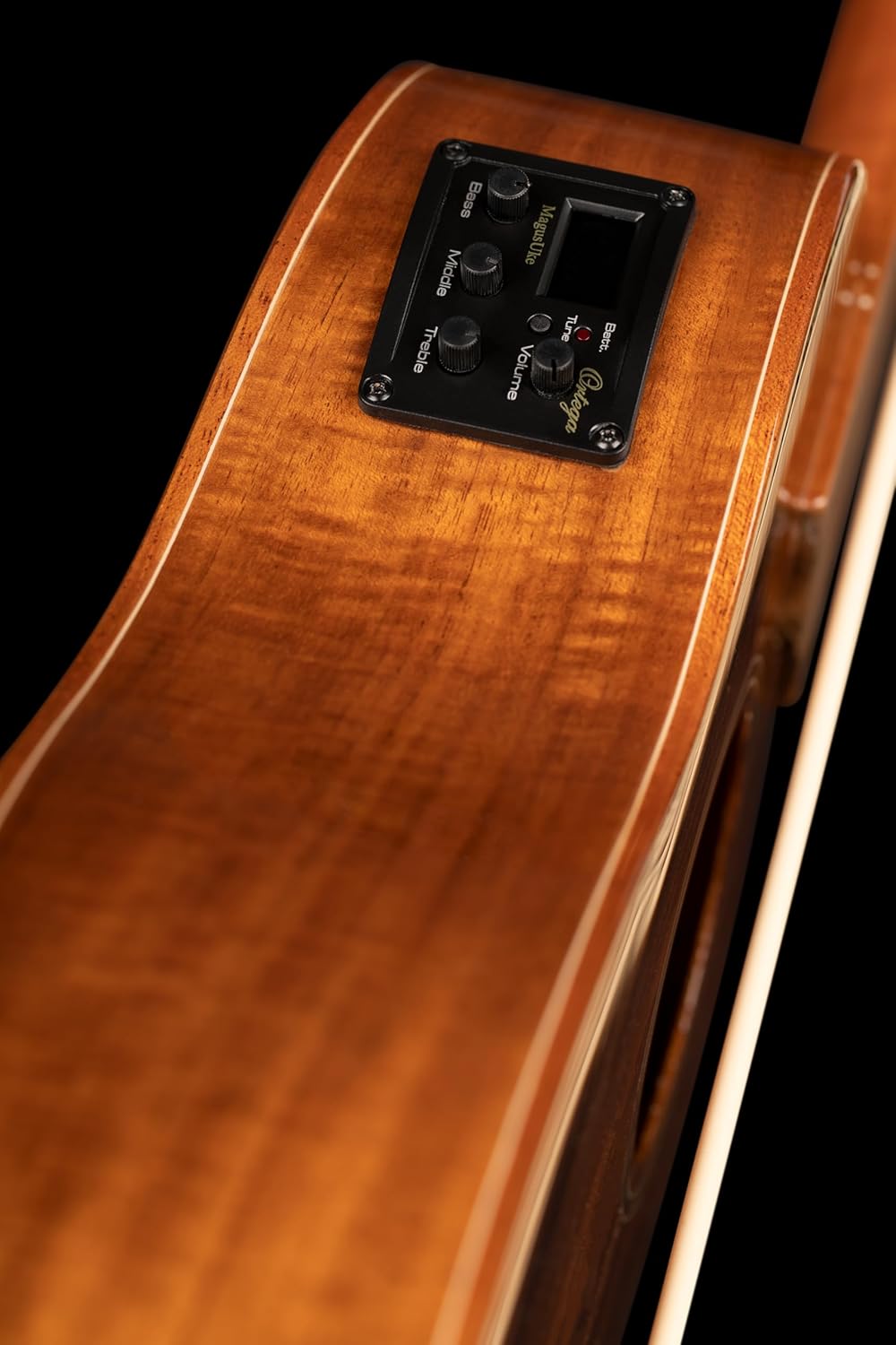 Lizard Series Acoustic-Electric Uke-Bass w/Bag