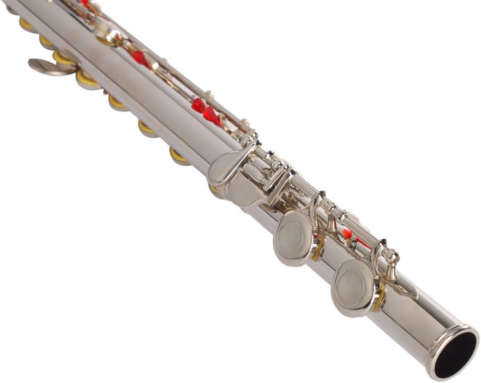 Closed Hole Flutes C 16 Key with E Key kit for Beginner, Kids, Student,Cupronickel Flute with Joint Grease,Cleaning Rod, Carrying Case